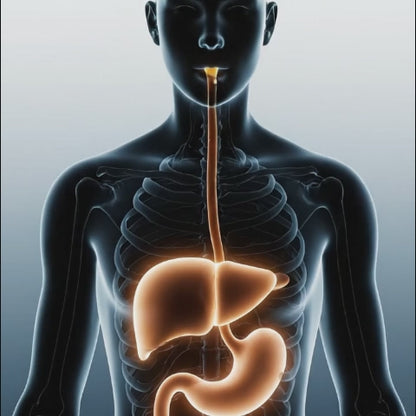 Vitalenz -Bebida de Soporte Hépatico